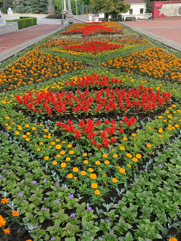 Afternoon stroll through Victory Park documented in Stavropol