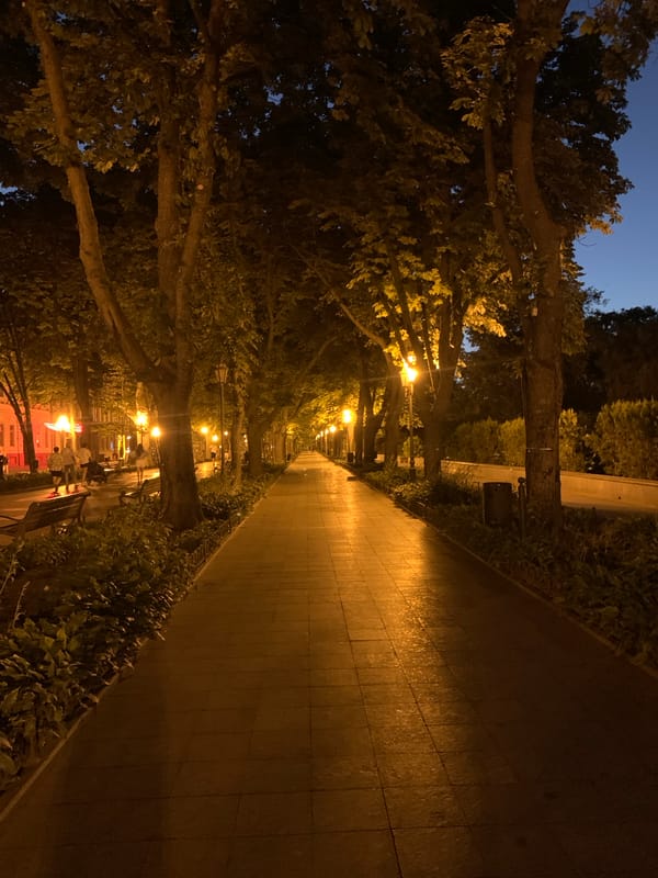 Evening dining and city strolling in Odesa, Ukraine