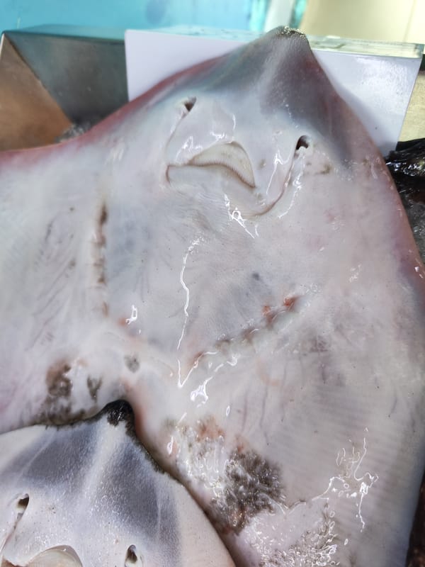 Fresh seafood prepared and displayed at Ribeira Grande fish market