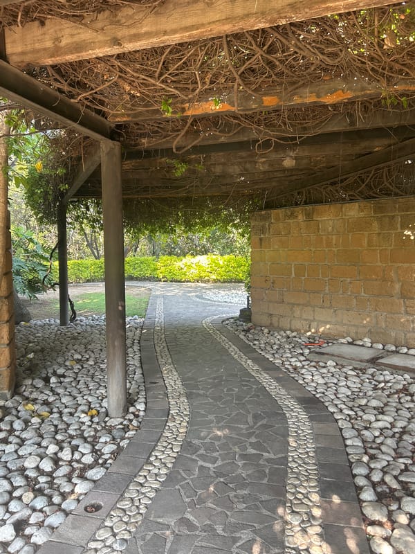 Afternoon stroll documented through Atlixco neighborhoods and gardens