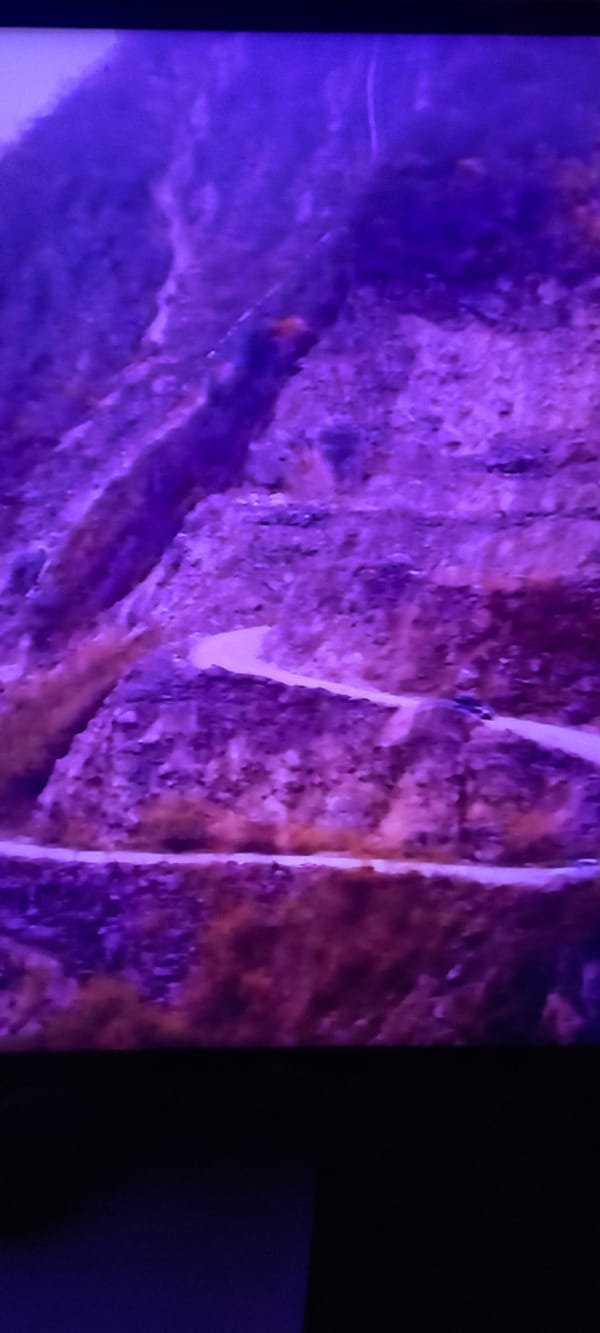 Four unrelated scenes, purple tones and open questions