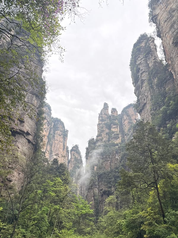 Tourist documents Zhangjiajie's iconic landscapes during morning visit