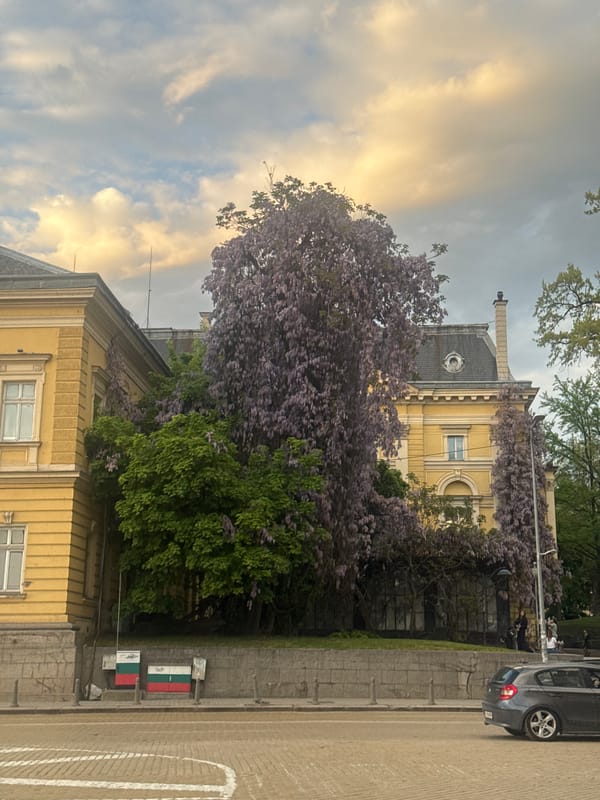 Evening social outing documented across Sofia, Bulgaria