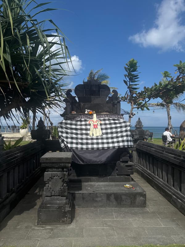 Bali day out: beaches, temples, rice paddies, and dogs