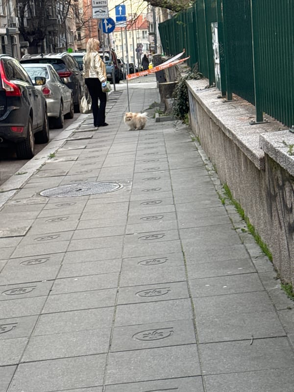 Woman walks small dog on decorative sidewalk in Sofia