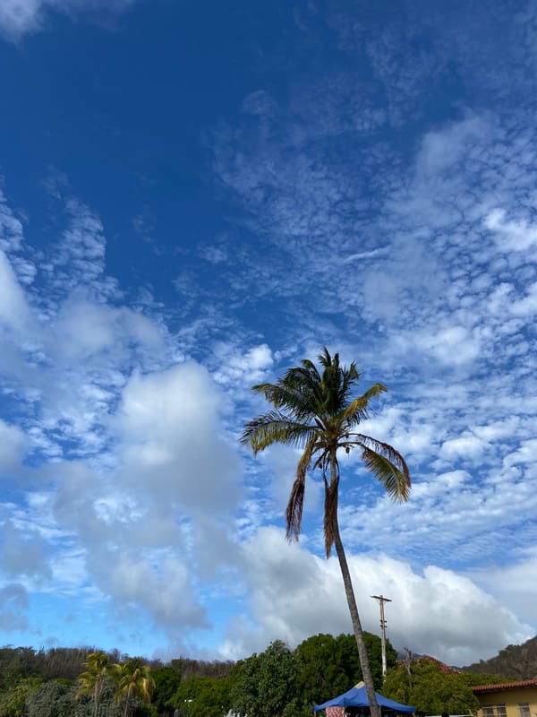 Evening beach scenes documented along Venezuelan coast near Pedro González