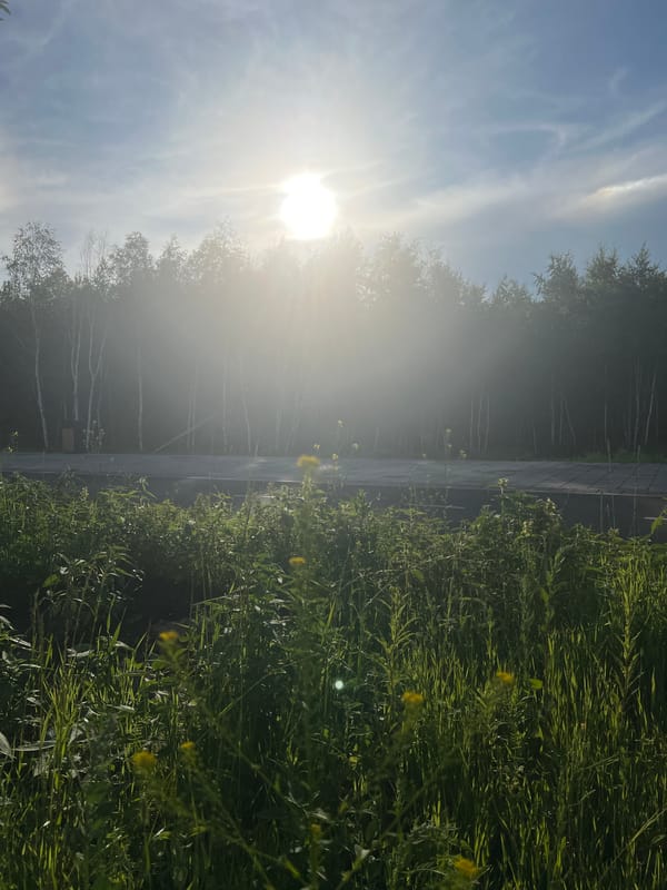 Summer stroll through Yekaterinburg's urban-nature blend