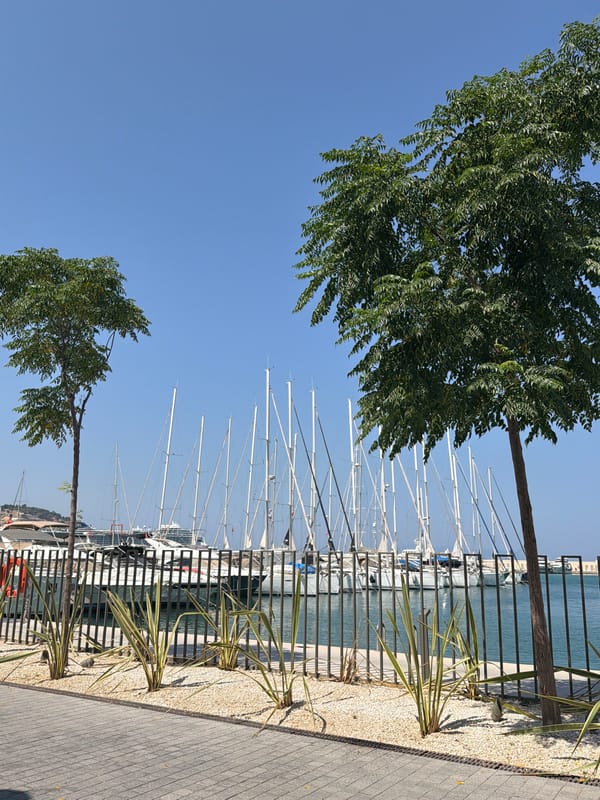 Kuşadası marina on a clear summer morning