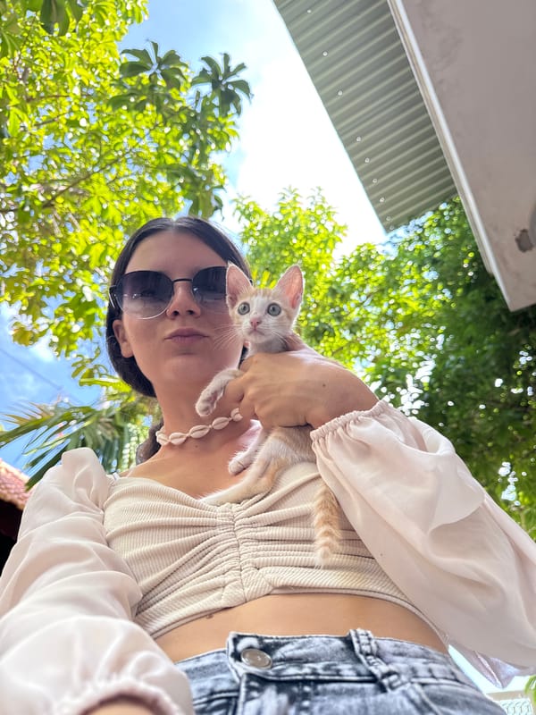 Woman Takes Selfie Series with Kitten in Mũi Né
