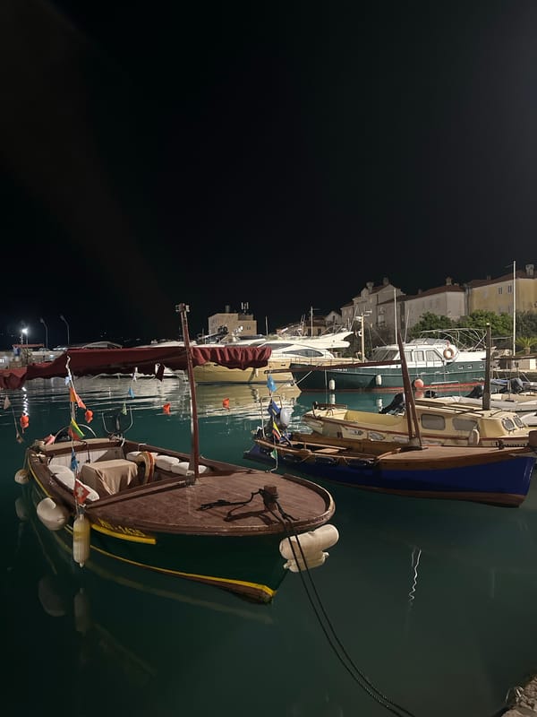 Evening harbor views and cat encounter documented in Budva