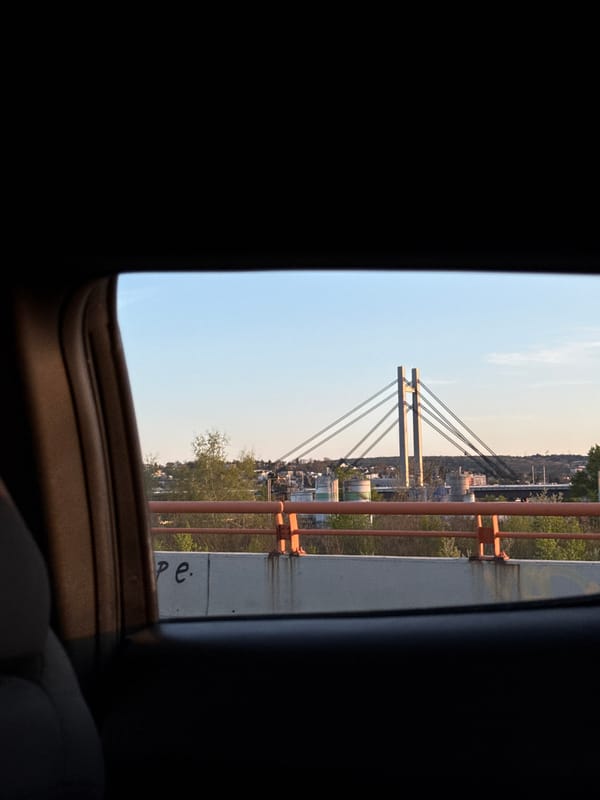 Vehicle passenger photographs cable-stayed bridge in Belgrade
