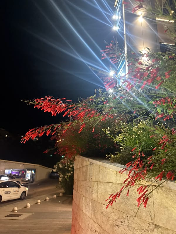 Relaxed balcony night in Boreti, coastal Montenegro