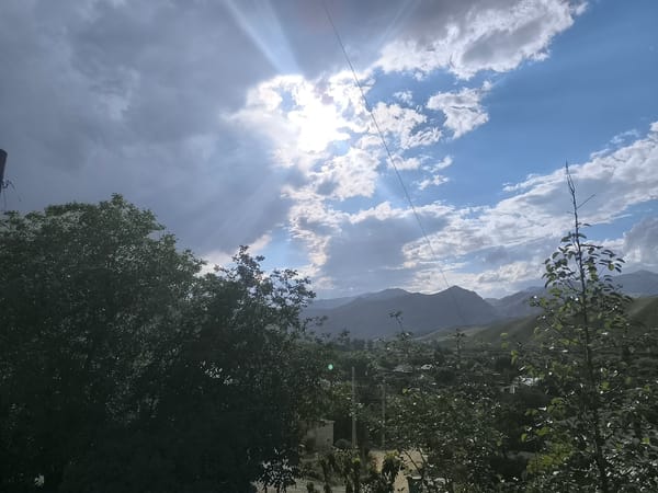 Witness captures Armenia's Areni agricultural bounty during summer afternoon