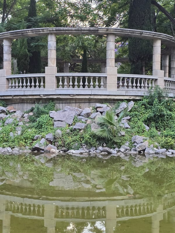 Parc de Can Mercader at dusk: people, pets, and wildlife