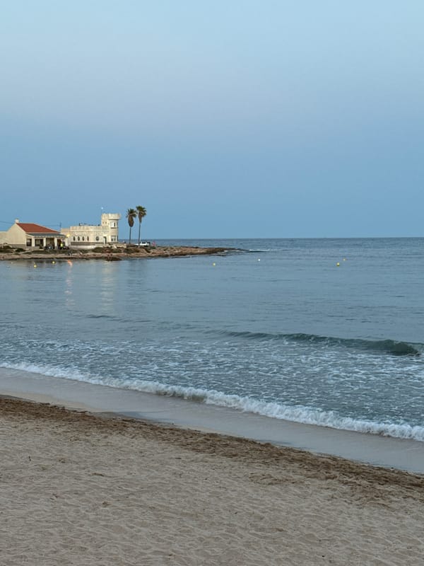 Afternoon walk through Torrevieja's coastal streets and gardens