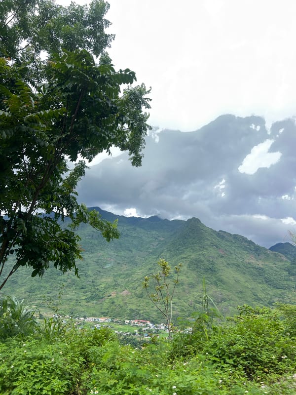 Lush highland terrain in Lùng Tám Commune, northern Vietnam