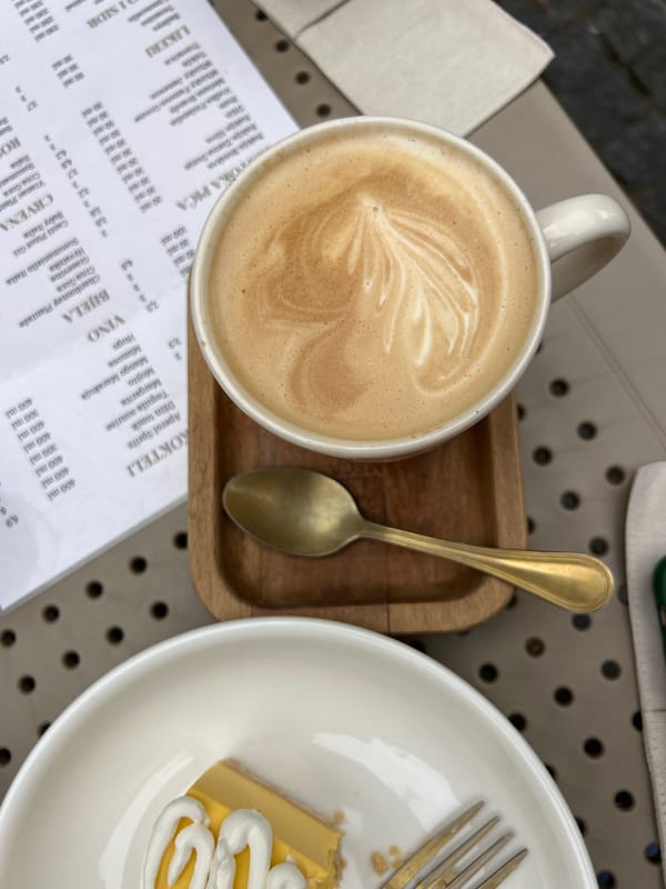 Casual brunch documented at Podgorica cafe with stray puppies nearby