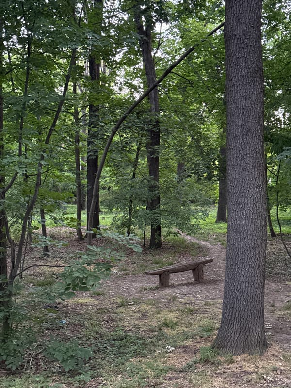 Early morning walk documented through Zvezdara park in Serbia