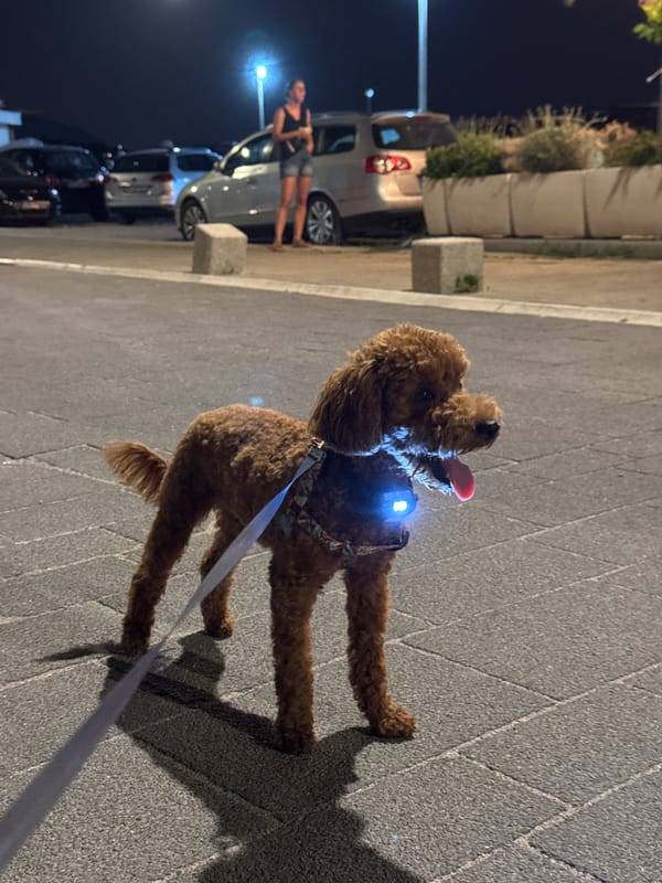 A night out along the Sutomore waterfront in summer