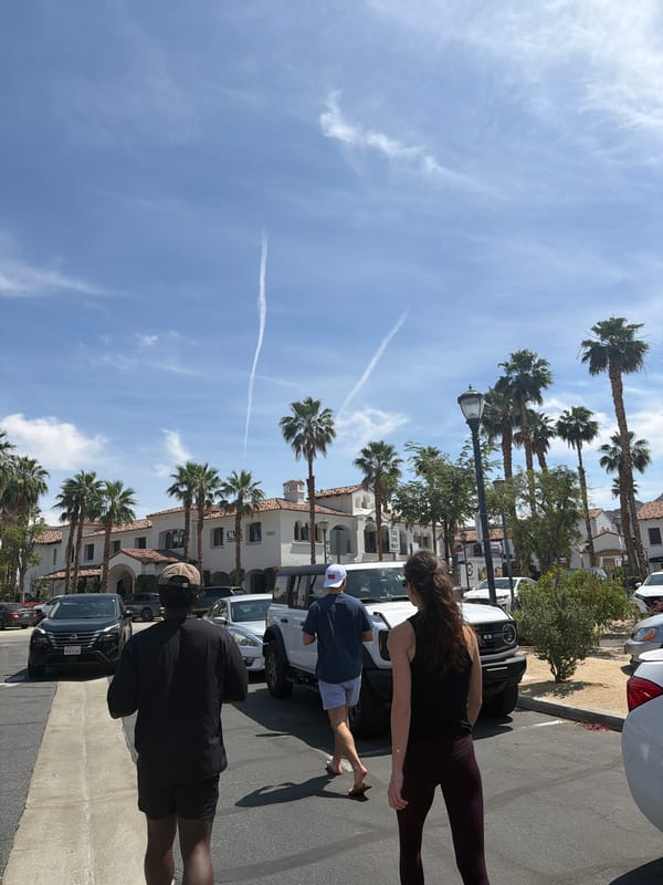 Palm-lined street scene captured in La Quinta, California