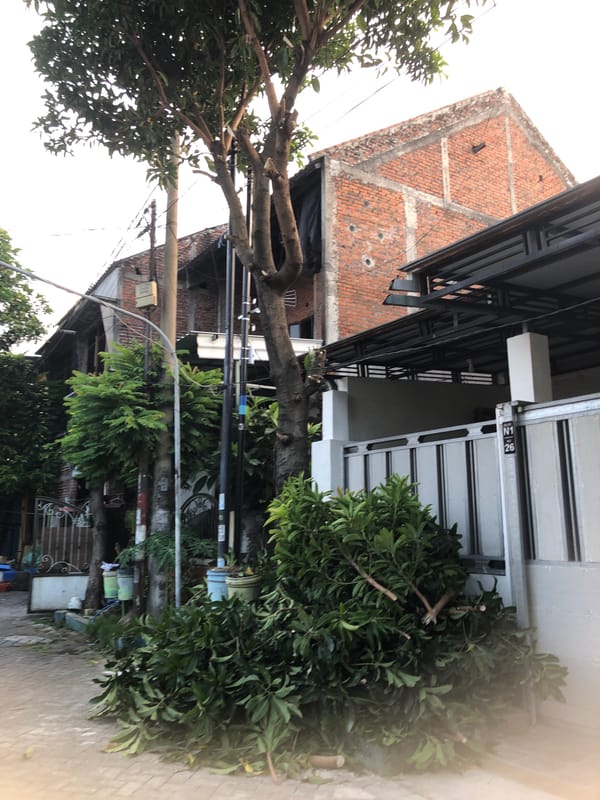 Indonesian Village Life Documented Across Three Communities Saturday Morning