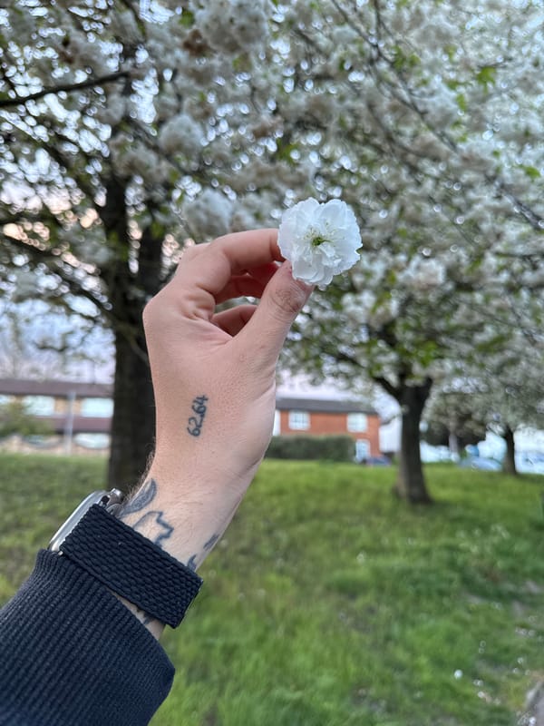 Person with numbered tattoo holds flower in Hitchin