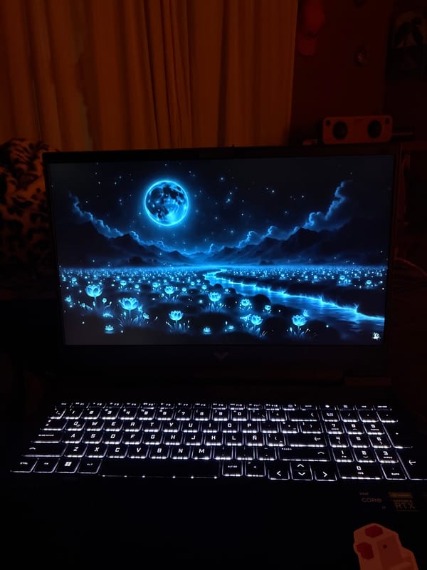 Laptop observed in decorated room in Cañada de Madero