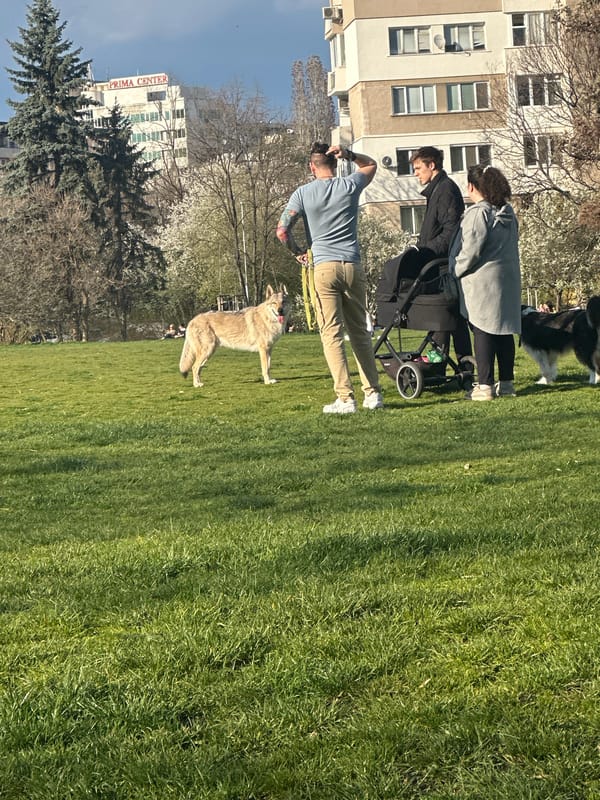 Man stands in Sofia park near Prima Center building