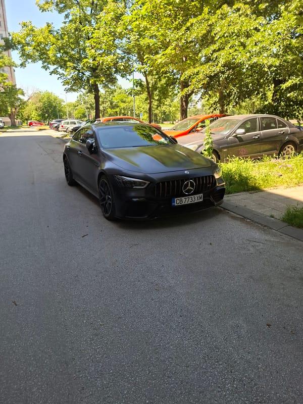 Cat on ladder, parked Mercedes observed in Plovdiv