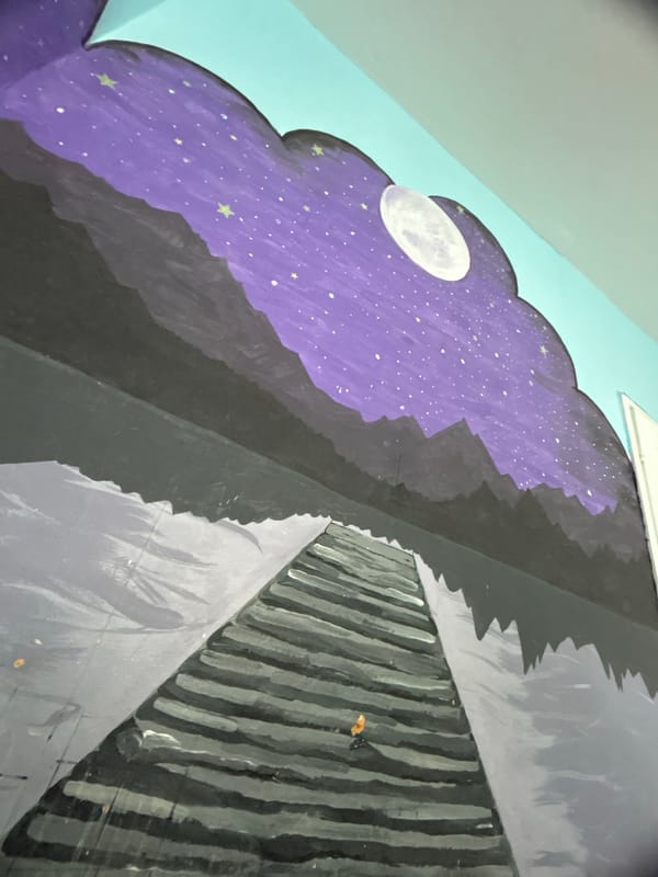 Nocturnal landscape mural documented on indoor wall