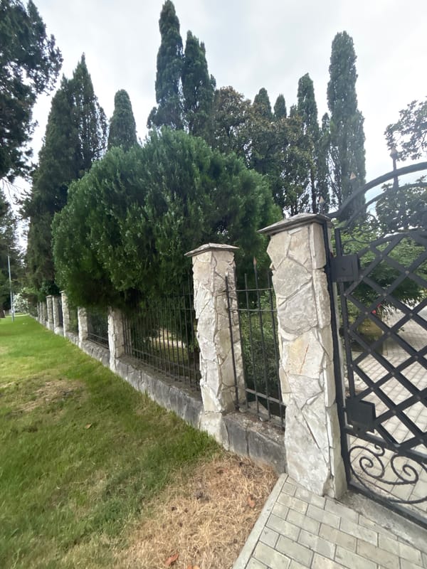 Strolling through a quiet residential neighborhood on a grey day