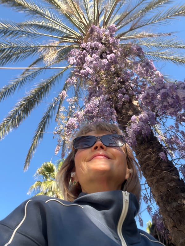 Spring blooms and palms photographed in Alanya, Turkey