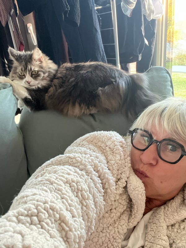 Person and cat share quiet evening together in French home