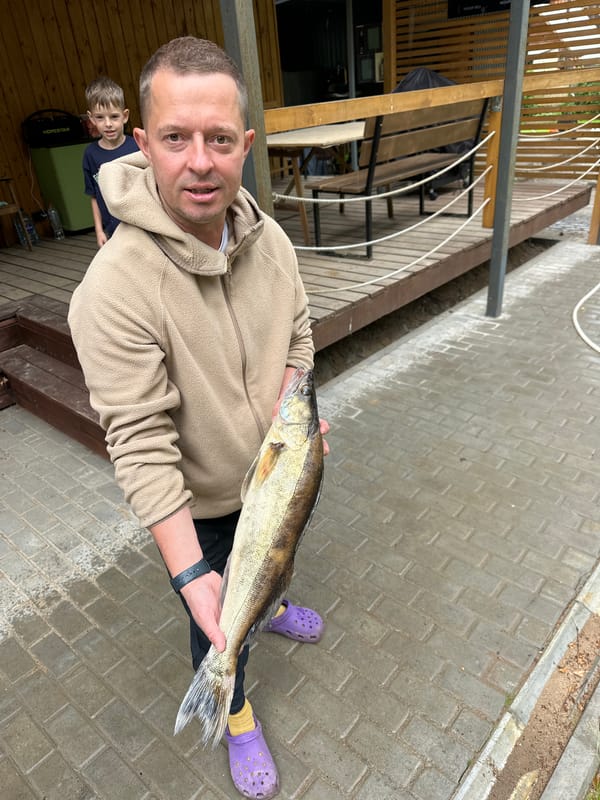 Backyard catch and a Maine Coon on the deck in Russia