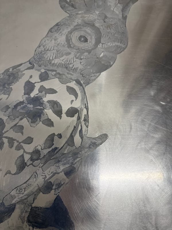 Bird illustration etched on metal surface spotted in Madrid