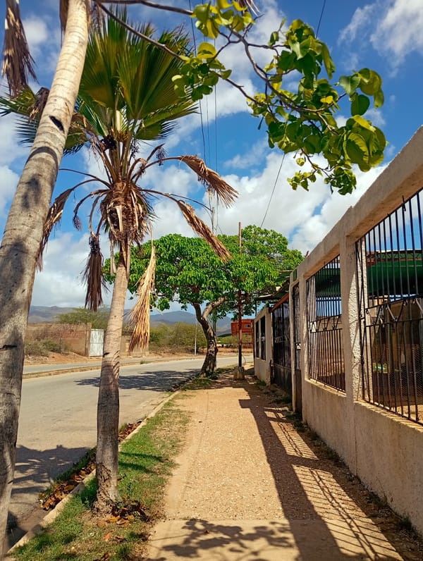 Afternoon stroll through Juan Griego streets with dog