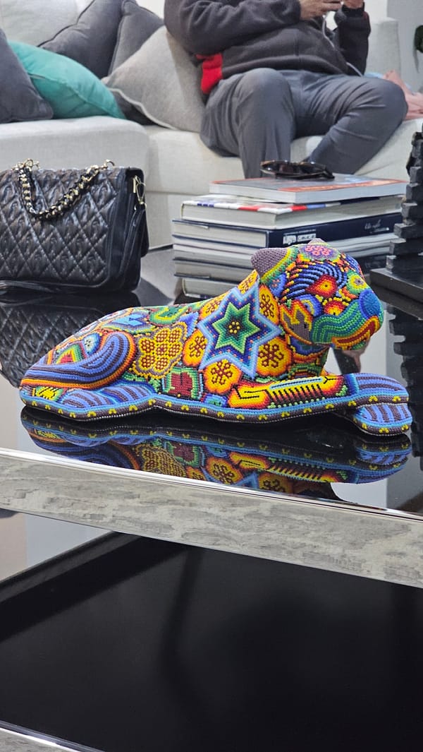 Quiet household moments documented in Mexican home early morning