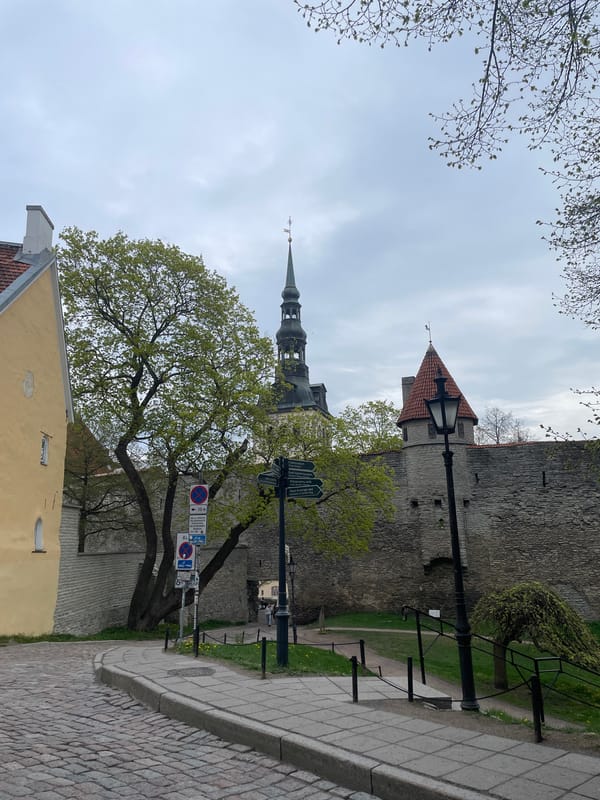Morning walk through Tallinn's medieval Old Town captured