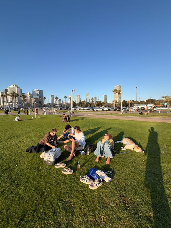Afternoon leisure gathering observed on Tel Aviv waterfront grass