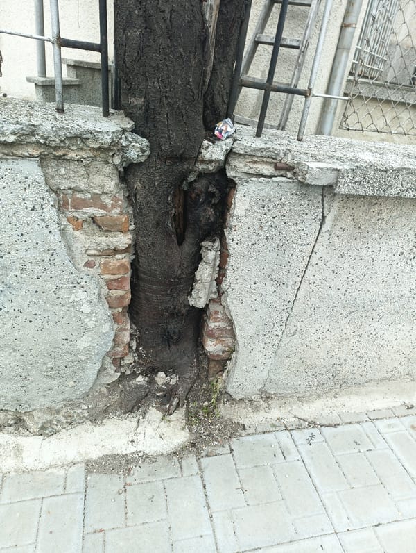 Urban decay and nature reclamation documented in Karnobat