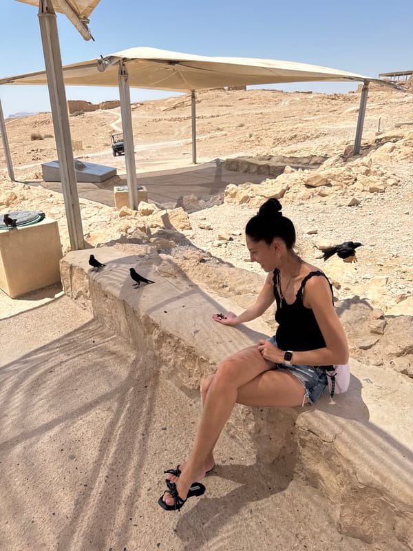 Morning at Masada: ruins, Dead Sea views, and hand-feeding birds