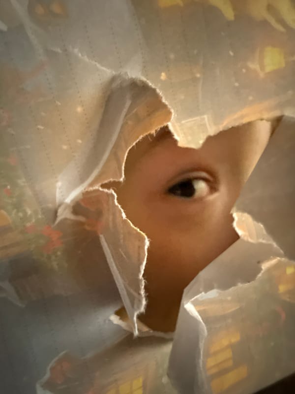 Person peers through torn material in Dmitrov, Russia