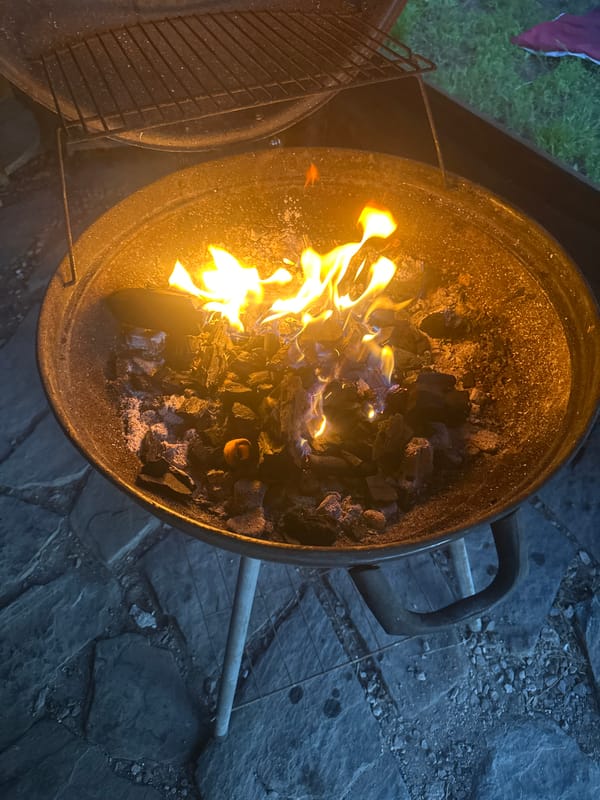 Backyard barbecue and pizza gathering documented in Sofia