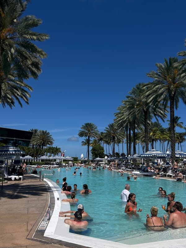 Busy pool scene observed in Miami Beach