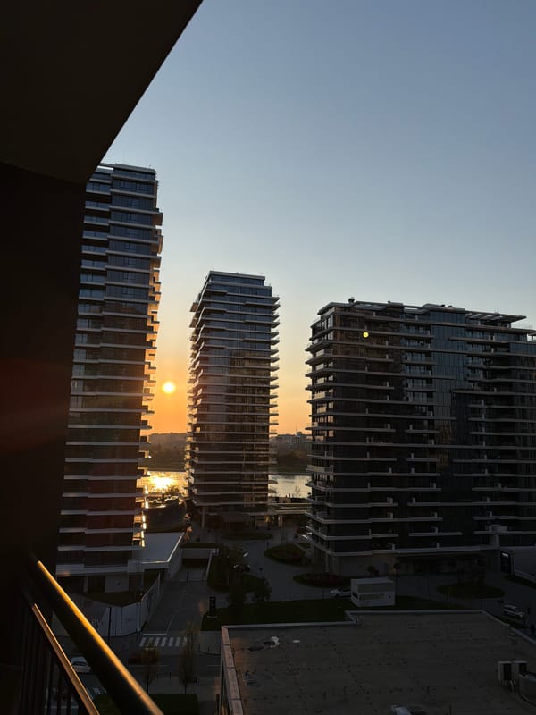 Belgrade sunset captured from multiple angles, indoor cat spotted