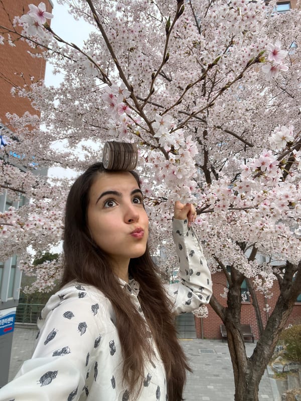 Woman poses with coasters, strawberries amid Daegu cherry blossoms