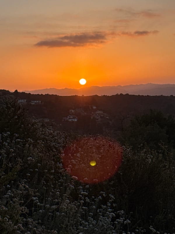Golden hour over the LA hills, dry brush and all