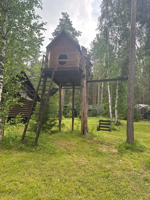 A well-kept rural Russian homestead in full summer bloom