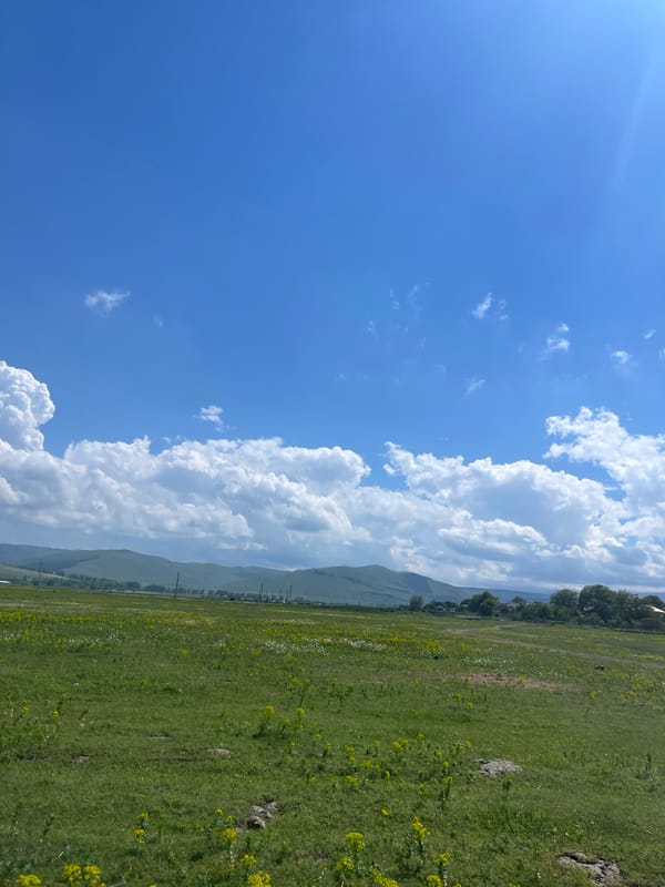 Peaceful summer day documented across rural Dmanisi, Georgia countryside