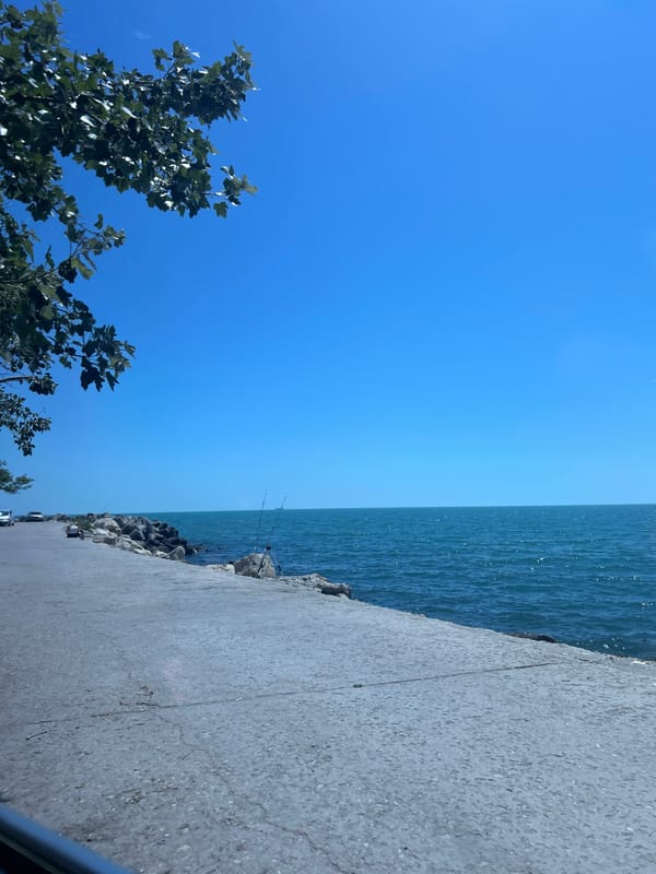 Clear Morning Brings Typical Coastal Activities to Varna Waterfront